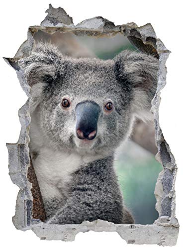 Die 16 besten Wandtattoos mit Koala - Boxspringbetten24