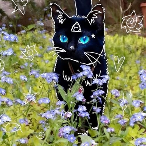 『✨🐈&zwj;⬛Therian Podcast mit Calypos🐈&zwj;⬛✨』のカバーアート