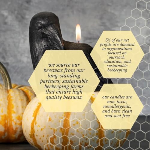 Image of Big Dipper Wax Works Black Crow Candle, 4 x 3.5in