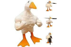 AKV Magnetic Duck Holder: The Key Keeper with a Quack