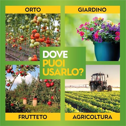 Albagarden - Semi Prato Universale Resistente - 40M² - Per Zone Ombreggiate E Soleggiate - Sementi Erba Per Tappeti Erbosi Inverno Estate - Calpestabile - Rapida Crescita Per Ogni Tipo Di Terreno - 5