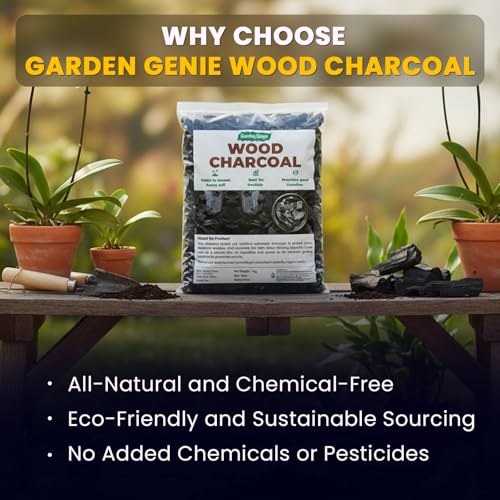 Image of Garden Genie Wood Charcoal for Plants 1 Kg| Horticultural Charcoal for Orchid Potting, Terrariums Plants Etc | Multipurpose Use for Havan, BBQ, Cooking, Pooja Dhoop & Gardening