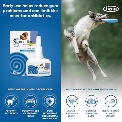 Haustiere Stomodine Lp Gel Zahnfleisch 50 Ml