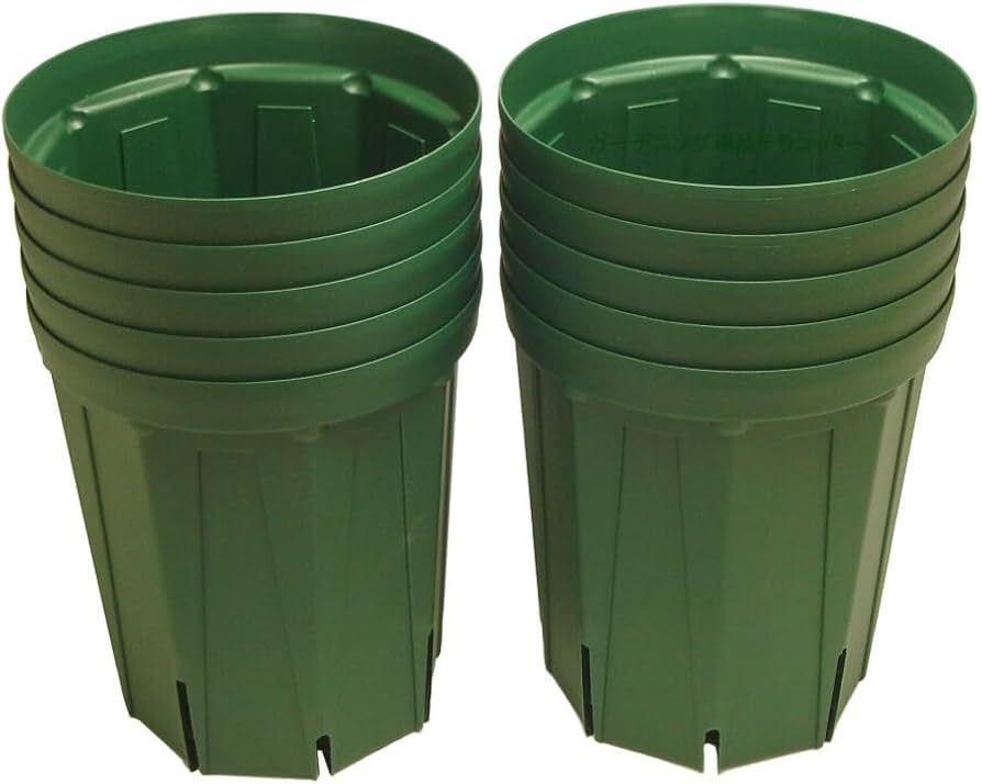 Amazon.co.jp: とんでもないポット（スリット鉢） 6号ロング モス