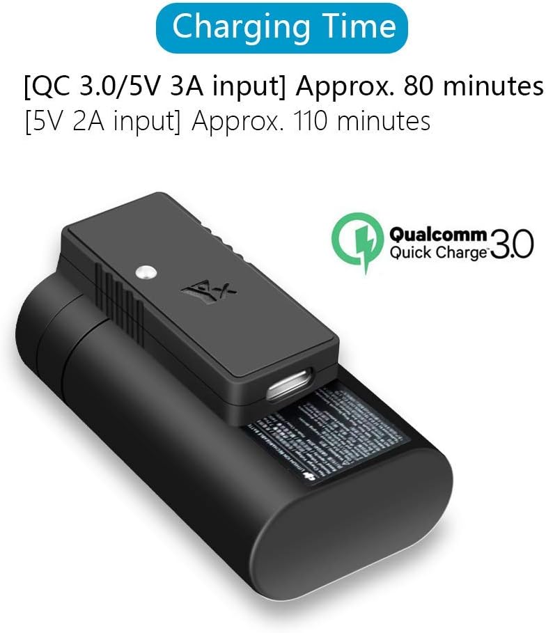 Hanatora Battery USB Charger with Quick Charge 3.0 for DJI Mavic Mini Drone, with Type C Charging Cable Accessories(not for DJI Mini 2)