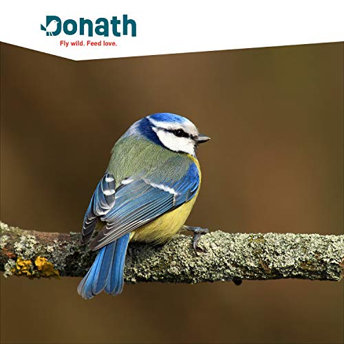 Donath Energie-Box 1,2,3-3 Nusstangen (3 x 120g) - traditionell in feinstes Rinderfett getaucht - Ganzjahres Wildvogelfutter mit kraftspendendem Fett - aus unserer Manufaktur in Süddeutschland