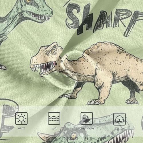 Wusikd Dinosaurs Vintage Girls' Underwear Cotton Sharp Teeth Girls Briefs Soft Toddler Underwear 2T3