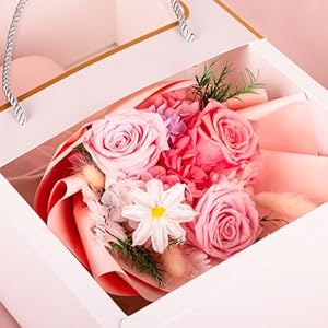 XMFAYUAN Preserved Flower Forever Flowers Fresh Flowers XMFAYUAN Roses Flowers Mothers Day Christmas Anniversary Wife Girlfriend Birthday Gifts for Her Delivery Prime XMFAYUAN Preserved Flower Forever Flowers Fresh Flowers XMFAYUAN Roses Flowers Mothers Day Christmas Anniversary Wife Girlfriend Birthday Gifts for Her Delivery Prime