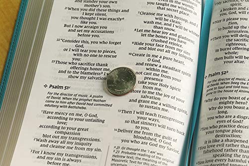 Niv, Personal Size Bible, Large Print, Leathersoft, Teal/Gold, Red Letter Edition, Comfort Print: Ne