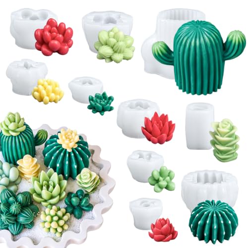 Dacies 10 Pack Succulent