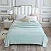 CAI TENG Waffle Textured Fleece Blanket Flannel Blanket for for Couch Sofa Living Room Plush Lightweight Microfiber Throw (Duck Egg, 60 x 80 inches)