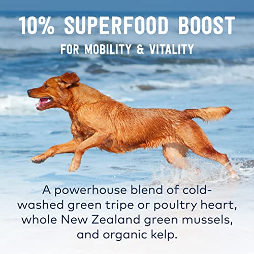 Ziwi Peak Good Dog Rewards Training Treats – All Natural, Grain-Free, Healthy Dog Treats (Beef, Lamb, Venison 3Oz Bundle) #TOP3