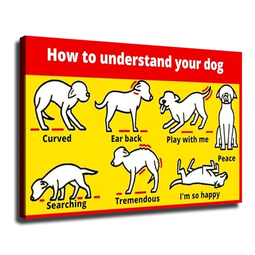 Wall Art Canvas Prints- How to understand your dog -Dog