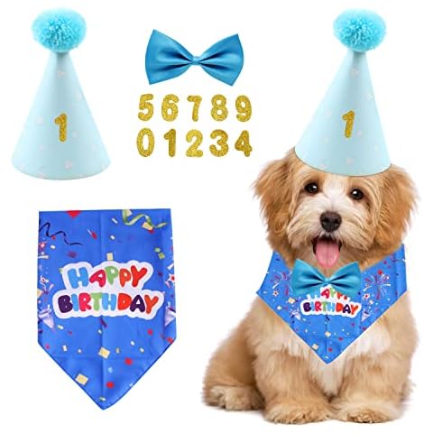 Juego de 4 Piezas Suministros Fiestas cumpleaños Mascotas, Bufanda Triangular Perro, Sombrero cumpleaños, Pajarita Perro, Parche Digital Dorado, Fiestas Mascotas pequeñas, Medianas, Grandes (Azul) Cover