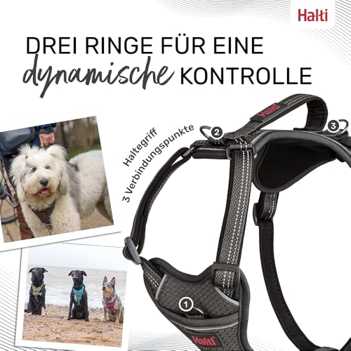 Company of Animals HALTI Anatomie Hundegeschirr mit Griff – Bewegungsfreiheit und für Ihren Hund. 3 Verbindungspunkte für die Leine, Neoprenpolsterung, verstellbar und reflektierend. Größe L, Grau