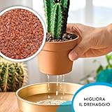 Zoom IMG-2 zoma vulc lapillo vulcanico per Zoom IMG-2 zoma vulc lapillo vulcanico per