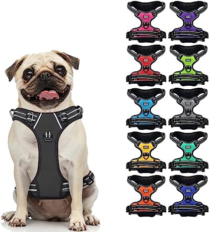 CollarDirect No Pull Reflective Dog Harness with Handle and Front Clip, Adjustible Soft Padded Vest for Small to Large Dogs Training and Walk (Size S, Black)