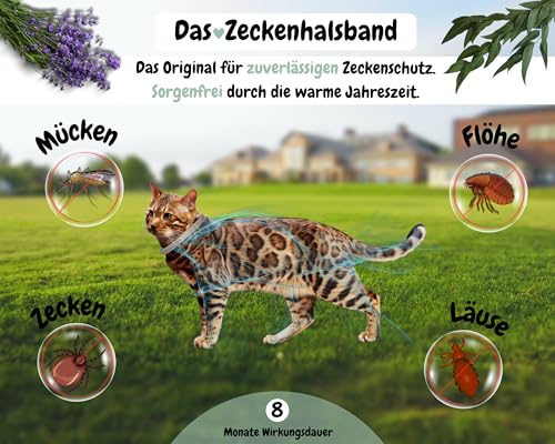 tooSimple Das Zeckenhalsband für Katzen 100% Pflanzliches Premium Öl Wirkungsvoller Schutz gegen Zecken Flöhe Mücken Läuse Ungeziefer - 8 Monate Wirkungsdauer