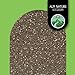 Alpi Nature Chiasamen 1kg, Chia Samen, schwarze Chiasamen für Smoothies, Joghurt, Müsli, Pudding