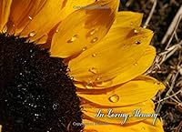 In Loving Memory: A Sunflower Funeral Guest Book 1730848400 Book Cover
