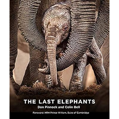 The Last Elephants