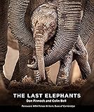 The Last Elephants