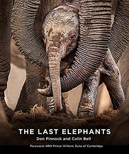 The Last Elephants