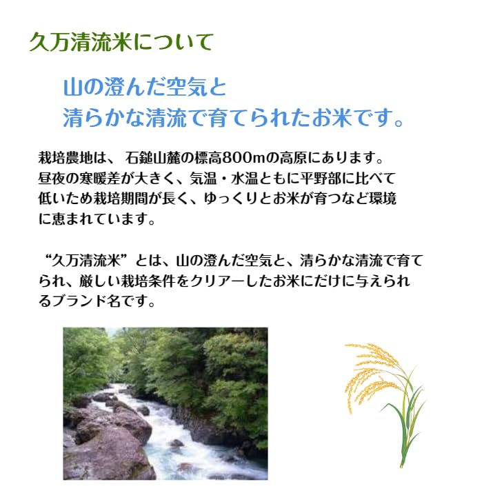 Amazon.co.jp: キヌヒカリ（玄米20kg）2025年令和7年産 愛媛 石鎚山麓