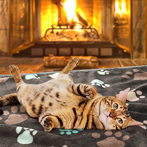 3 Pack Dog Blanket Soft Warm Flannel Cat Blanket, Great Pet Throw For Cats,Puppy,Small Medium Large Dog,23 X 16 Inches #TOP2