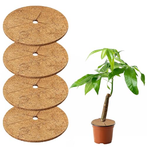 Nokwocy Esterilla de coco, protección de invierno para plantas, anillo protector de árbol de fibra de coco natural, cubierta de suelo para plantas de interior y exterior, mantillo paisajístico (30