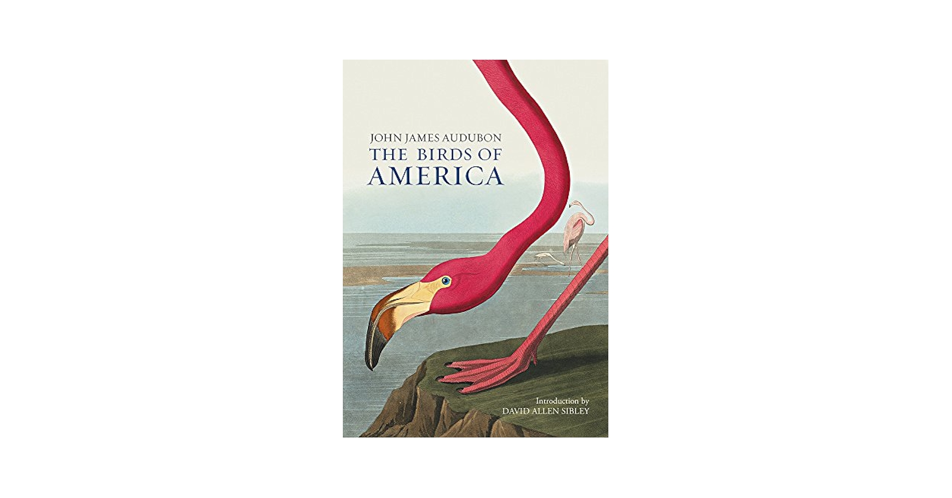 John James Audubon アメリカ鳥類博物画の本 John James Audubon アメリカ鳥類博物画の本 Audubon's Birds of