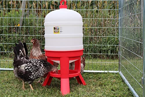Little Giant® Plastic Dome Waterer | Heavy Duty Plastic Gravity Fed Poultry Waterer Container Tank | Chickens, Ducks & Other Birds for Hobbyists, Farmers and Ranchers | 10 Gallon
