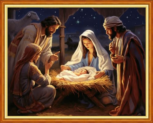 Image of Dimensean Stamped Cross Stitch Kits Full Range of Embroidery Patterns Starter Kits for Beginners Adult DIY Cross Stitches Needlepoint Kits 11CT-Nativity 16x20 inch