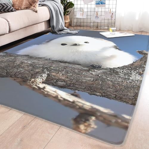 �J�[�y�b�g �V�}�G�i�K ���� ���O�}�b�g �O�~ 150×200cm ��1.5�� �t�����l�����O ����~�ߕt ���g�[ �z�b�g�J�[�y�b�g�Ή� �t���A�}�b�g �����` ������� �_�炩�� �􂦂� �I�[���V�[�Y�� �z�[��/���r���O/�x�b�h���[��