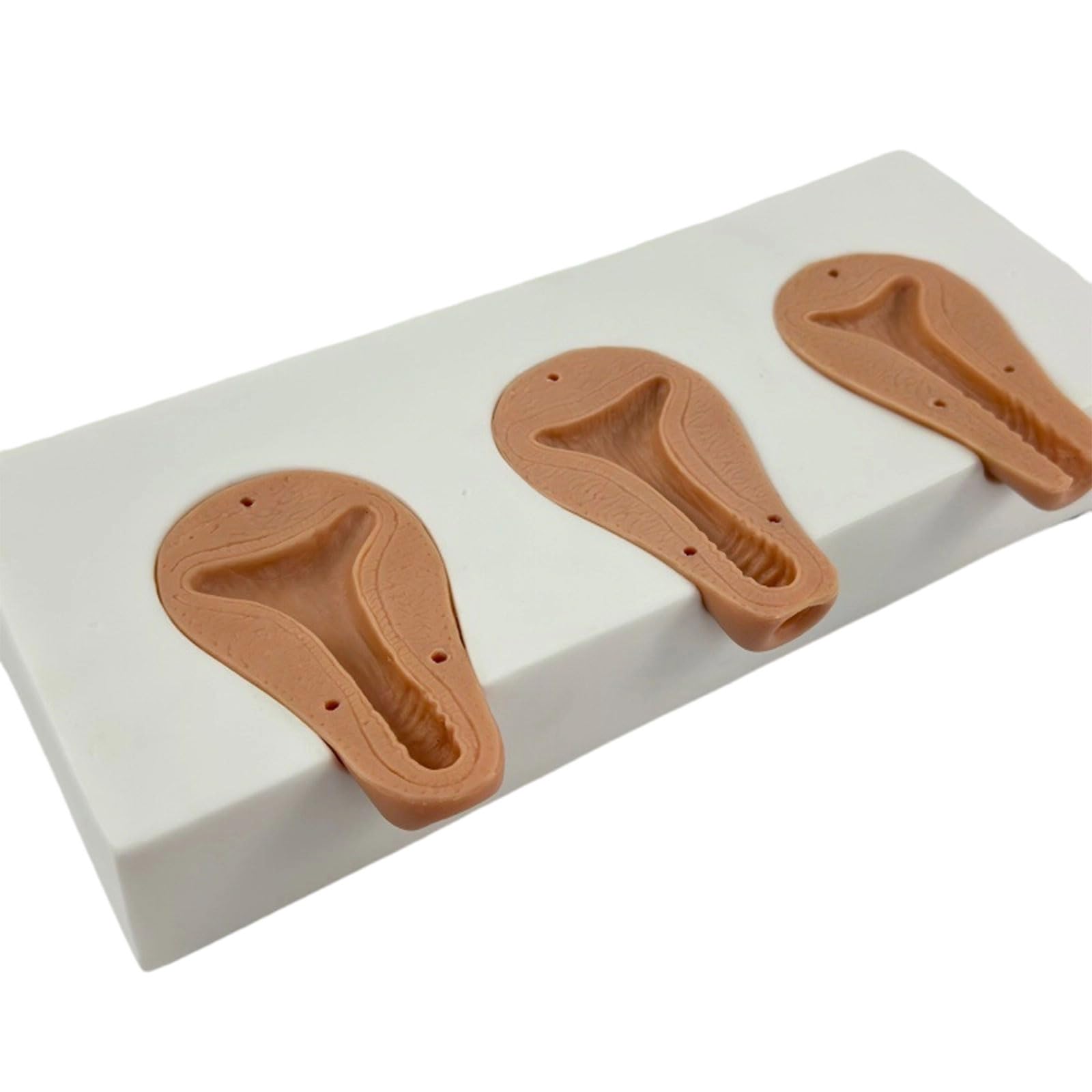 Kit professionale per anatomia uterina, strumento di texture in PVC per lo sviluppo delle abilità chirurgiche, strumenti di allenamento ginecologici