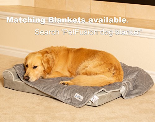 PetFusion Betterlounge Hundebett aus Memory-Schaumstoff, Wildleder, bequemes Bett für Hunde, mit wasserdichtem Futter und abnehmbarem Bezug, Größe L (91 x 71 x 15 cm)