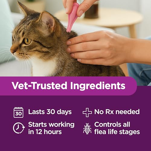 TevraPet Actispot II Flea Treatment for Small and Medium Cats 5-9 lbs | 6 Doses | Powerful Prevention and Control, Clear - Image 6