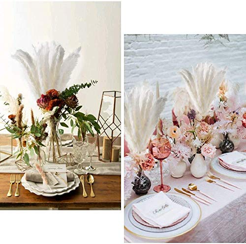 Viilich Gedroogde bloemen Pampas Gras, 45cm 30st Gedroogde Kleine Pampas Phragmites Communis decoratie Natuurlijke… - Afbeelding 8