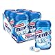 Mentos Kaugummi Pure Fresh Mint, 6 Boxen zuckerfreie Chewing Gum Dragees mit Pfefferminz-Geschmack & flüssiger Füllung, Multipack (6 x 35 Stück)