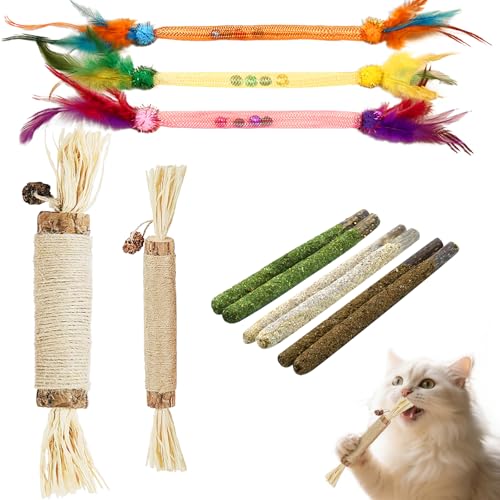 Cat Chew Toys, 11 Pack Kitten Catnip Toys Silvervine Sticks for I...