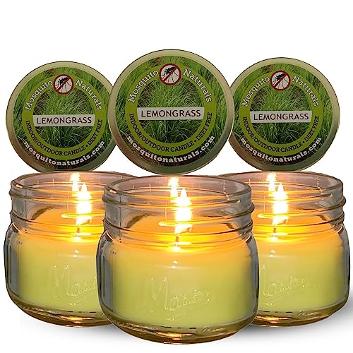 Find The Best Natural Mosquito Repellent Candles Reviews & Comparison