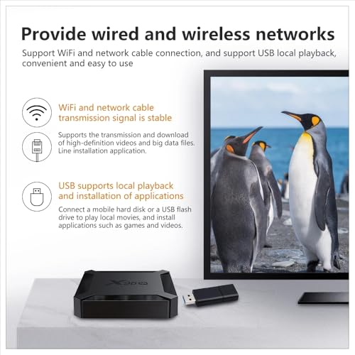 Image of DEVIANT X96Q Mini PC Box with Allwinner H313 Quad-Core, 2GB RAM, 16GB Storage, HDMI Output, Dual USB, TF Card Slot, WiFi | Android 10 Based Android PC Box