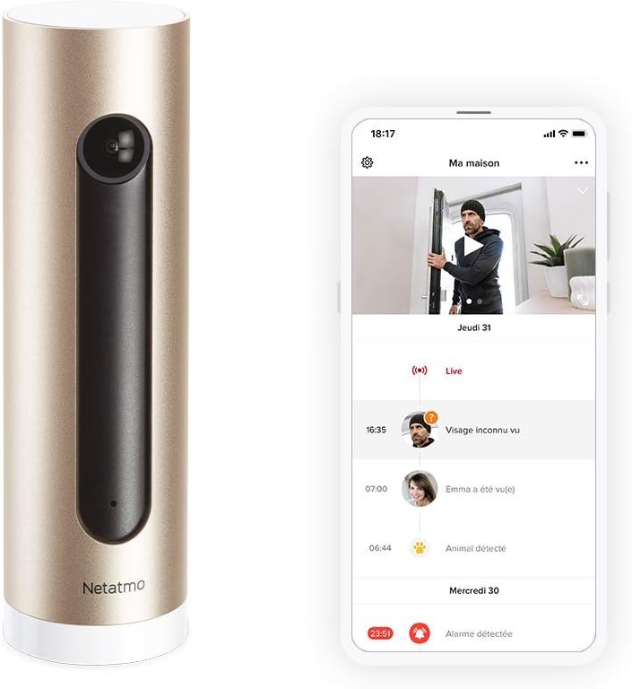 Netatmo Caméra de Surveillance Intérieure Intelligente, WIFI, Détection Des Mouvements, Vision Nocturne, Aucun Abonnement, NSC01-EU (Welcome)