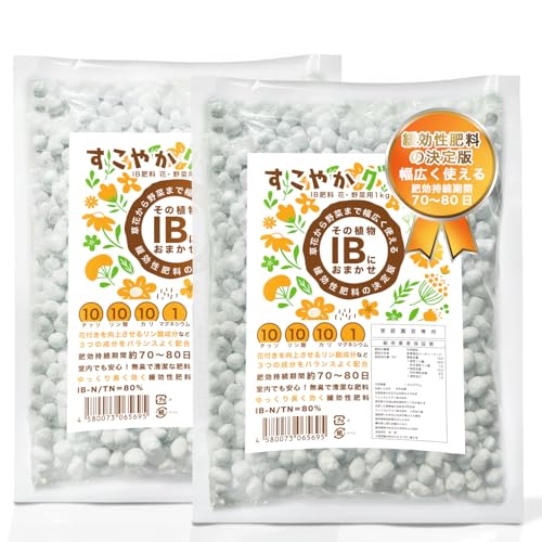 CLEAN HOUSE IB肥料 花・野菜用 化成肥料 固形 顆粒タイプ 1kg 2個セット 追肥 元肥 園芸用品