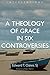 A Theology of Grace in Six Controversies (Interventions (INT))