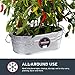 Behrens 0-OV Hot Dipped Galvanized Steel Oval PlanterTub, 5-1/2-Gallon, Silver