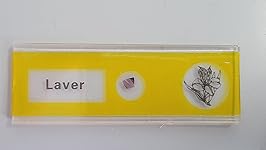 Review Image by AndySki AndySki