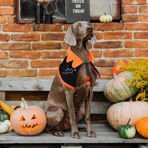 Capa para perro Halloween Luxshiny talla M naranja miniatura 4