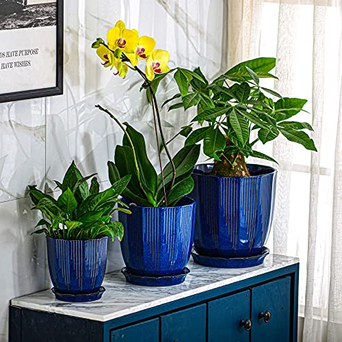 Adn Large Plant Pot Indoor Planters Ceramic Pot For Plants With Drainage Hole And Saucer For Flowers And Plants, Navy, 8 Inch #TOP3