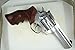 Handgun Grip for a Ruger GP-100 handgun P1230479